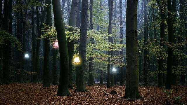 Eerste editie van intiem festival La Truite Magique aanstaande vrijdag van start