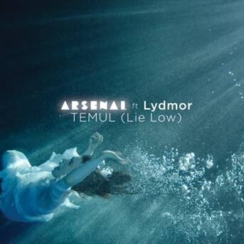 Arsenal announce Temul
