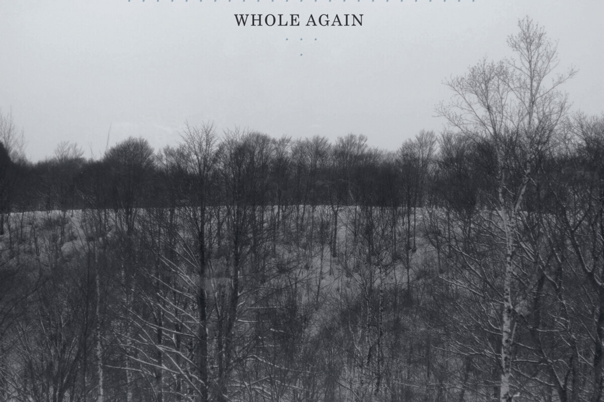 Front Porch Step stream new single "Whole Again"