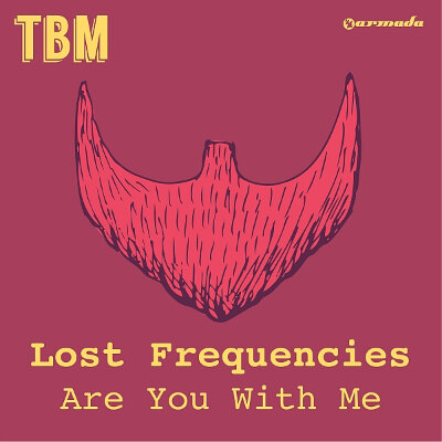 Lost Frequencies scoort hit met "Are You With Me"