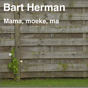 Nieuwe single voor Bart Herman