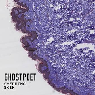 New album Shedding skin ft Melanie De Biasio