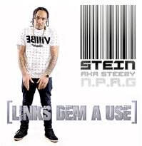 Stein Delivers “Links Dem Ah Use” 