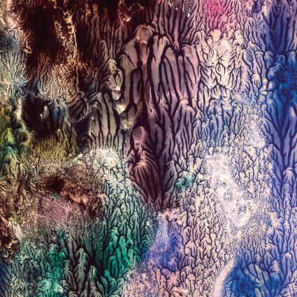 The Womb lanceert debuutalbum