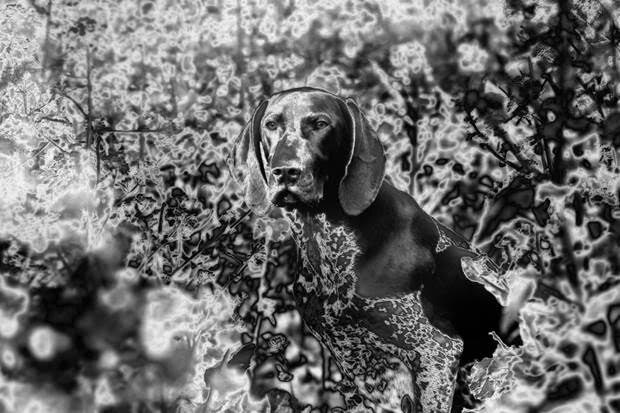 Evian Christ Signs To Warp Records