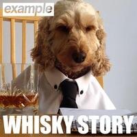 Example releases new single "Whisky Story"