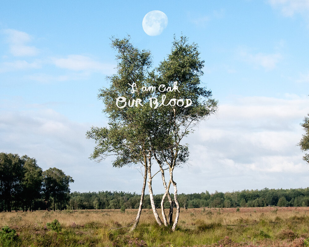 I Am Oak tourt door Europa met nieuw album Our Blood.