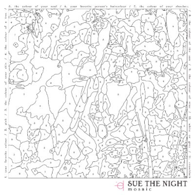 Debuutalbum Sue The Night komt vandaag uit in België!