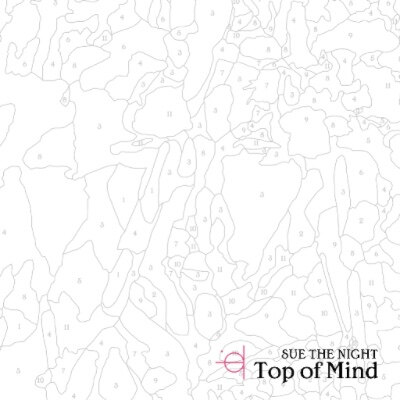 Sue The Night lanceert nieuwe single ‘Top of Mind’!