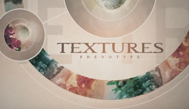 Textures release 'Illuminate The Trail' track video!