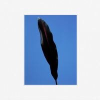 Watch the video for Wet - 'You're The Best'