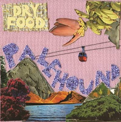 Palehound releases debut album on Heavenly Recordings
