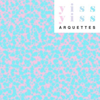Vandaag verschijnt ‘YISS YISS’ (Slick Noise/V2), het tweede full-album van Arquettes