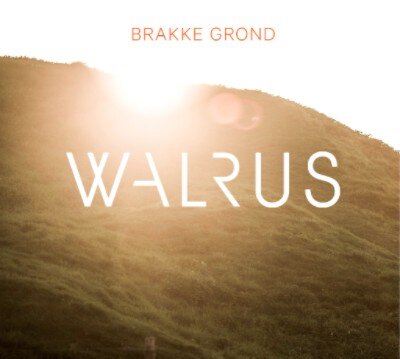 Luister naar de nieuwe single van Walrus!