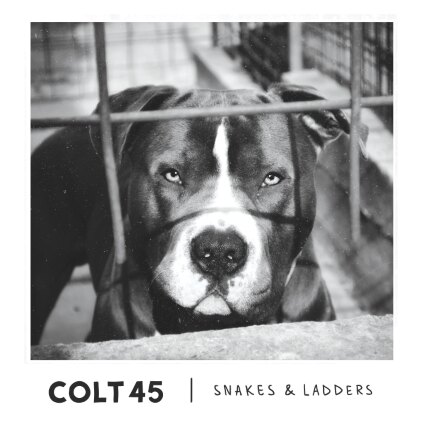 Cumbrian Punks Colt 45 Release 'Snakes & Ladders' EP