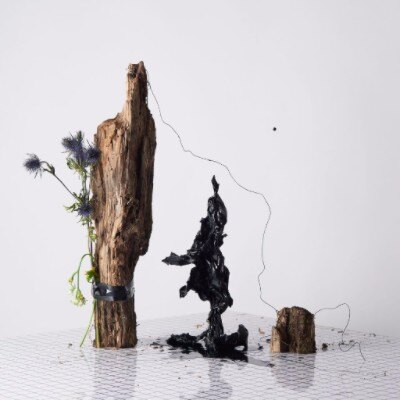 Is Tropical's new album 'Black Anything' is out today!