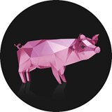 Ken jij al Digital Farm Animals?