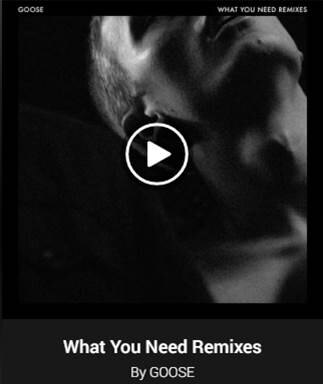 Contest winner on official worldwide GOOSE remix EP