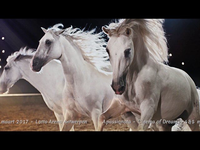 Paardenspektakel Apassionata komt met nieuwe show naar Antwerpse Lotto Arena!