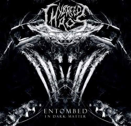 Hybreed Chaos Releases new album cover!
