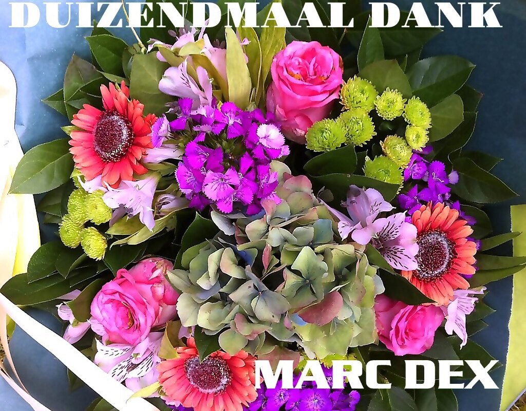 Marc Dex: "Duizendmaal Dank om er voor mij te zijn"