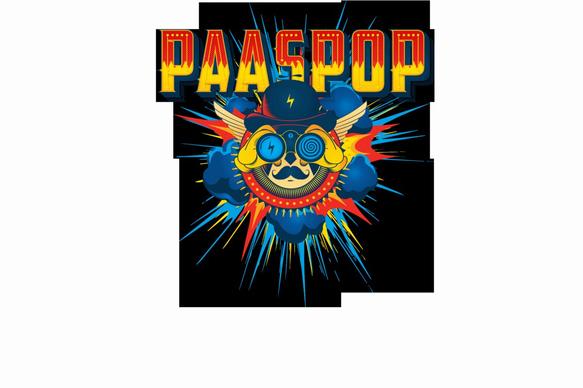 Paaspop Academy 2017: Hoe worden festivalbezoekers beïnvloed?