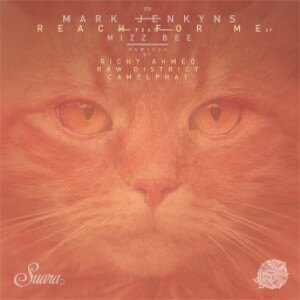 Raw District remix Mark Jenkyns ft. Mizbee - ‘Reach For Me’