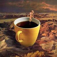 Amber Coffman shares new single "No Coffee"