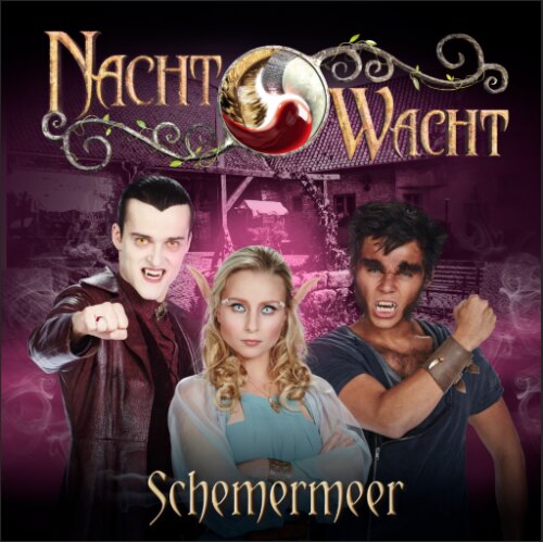 Schemermeer is de nieuwe single van Nachtwacht