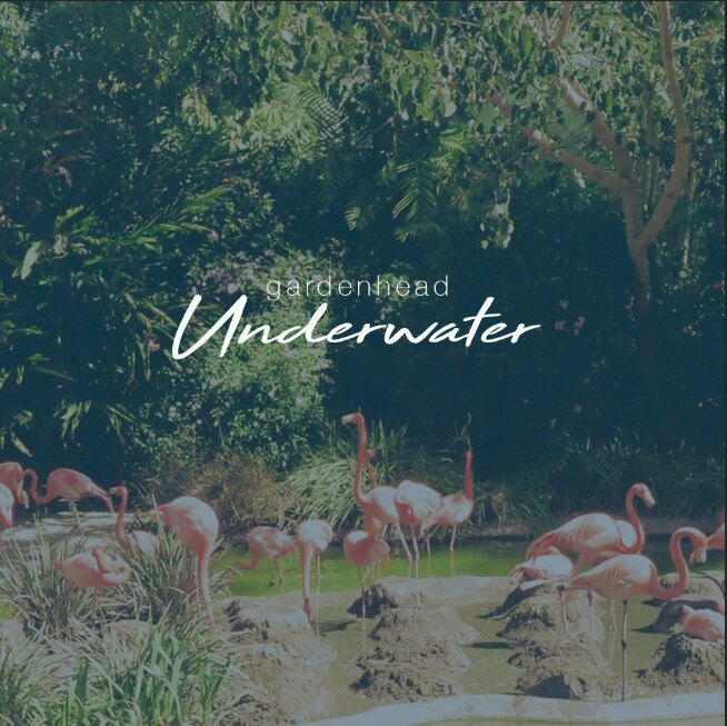 Casey Bolles Reborn As Gardenhead Release New Song “Underwater"!