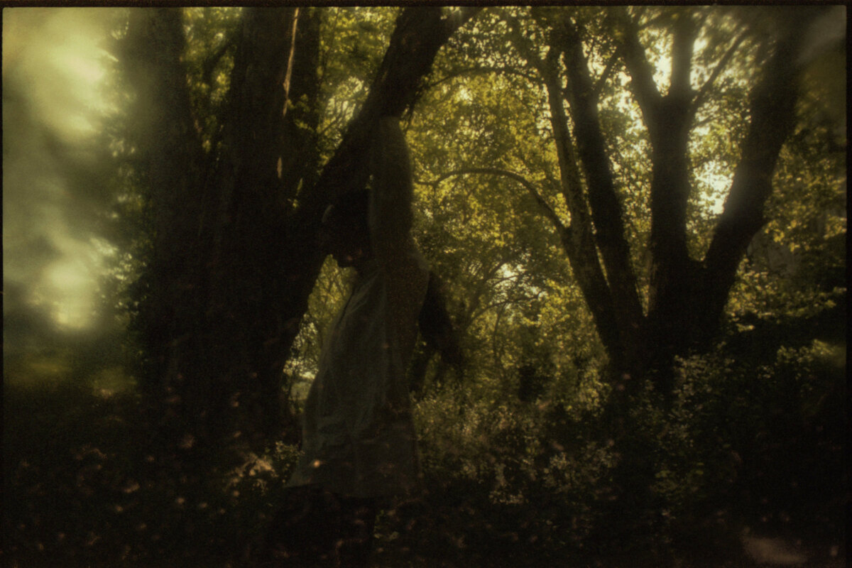 Prophecy Productions celebrate 10 year anniversary of Alcest's debut album