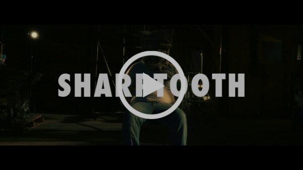 Sharptooth Join Pure Noise