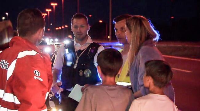 Alloo bij de wegpolitie: Overstekende ree veroorzaakt verkeerschaos