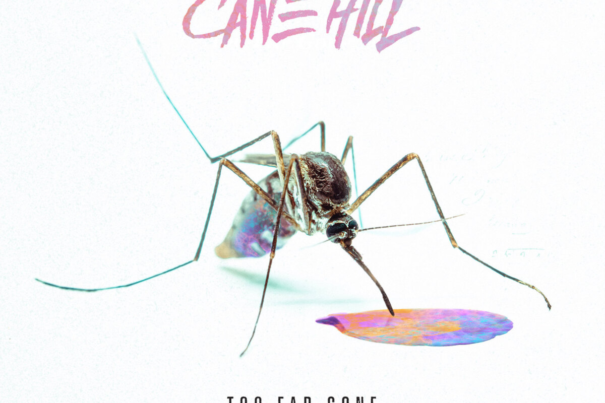Cane Hill premiere new song It Follows