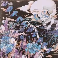 The Shins Release The Worms Heart album