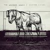 The Wonder Years releases Sister Cities 
