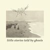 Dunnock release Little Stories Told By Ghosts