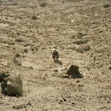 Ben Howard new album "Noonday Dream "