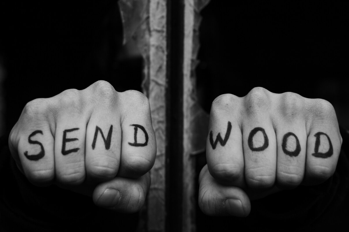 Sendwood unveil New album "Fist Leaf" -  out today !