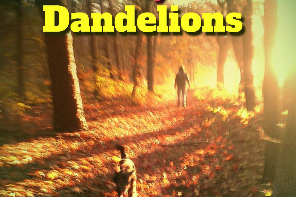 The Jaydees releasen eerste single van in september te verschijnen album ‘Dandelions’