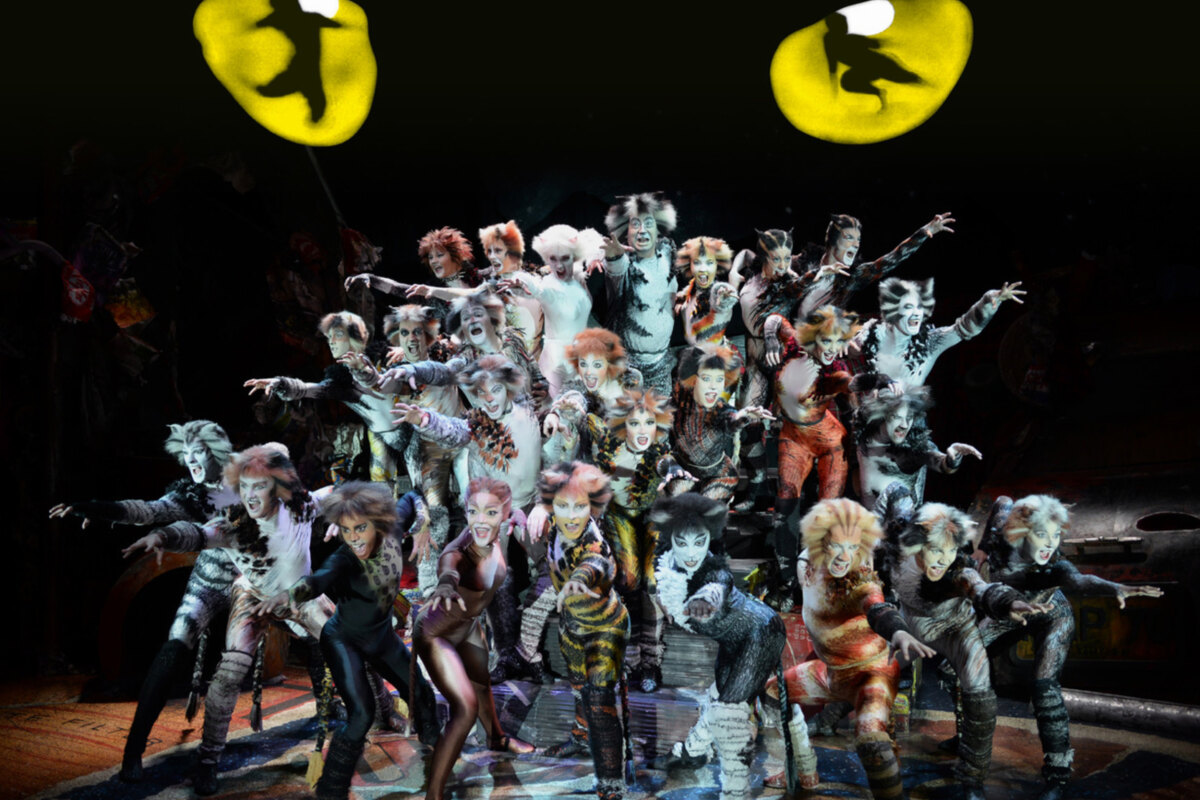 De musical CATS komt in 2019 voor het eerst naar Brussel!