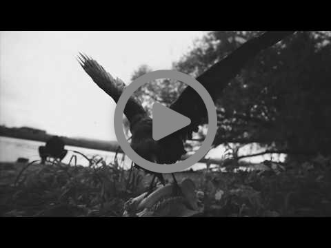 New music video for The Devil's Trade single Your Own Hell