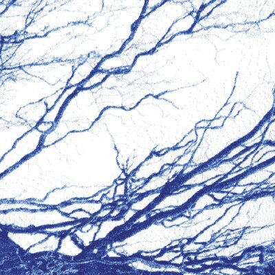 The Bony King oF Nowhere's nieuwe plaat 'Silent Days' is uit vandaag!