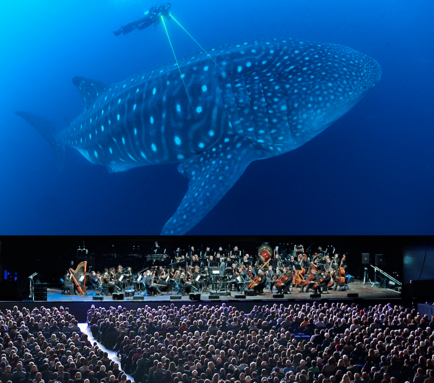 Blue Planet II - Live In Concert announces City Of Prague Philharmonic conducted by Matthew Freeman