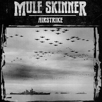 Veteran underground death/grind Mule Skinner present second album