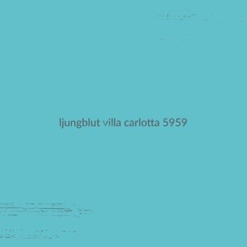 Ljungblut  Premieres Music Video for New Single "Hasselblad"