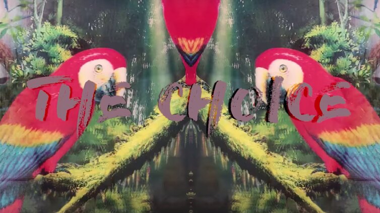 Catz 'n Dogz Reflect On 2018 With Video For 'The Choice