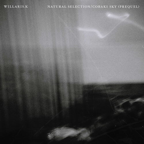 Willaris. K drops new double A-side,‘Natural Selection/Cobaki Sky