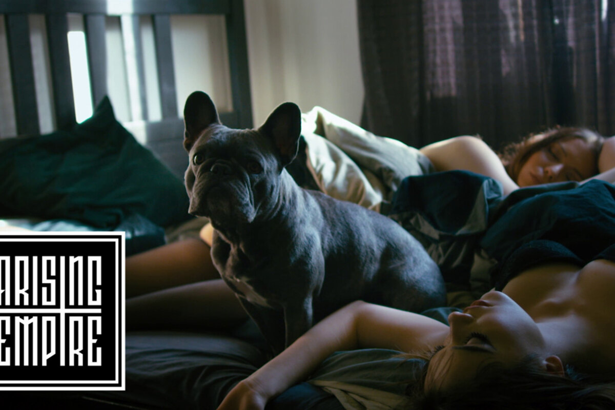 To The Rats and Wolves release music video for brand new single 'Cheap Love'!