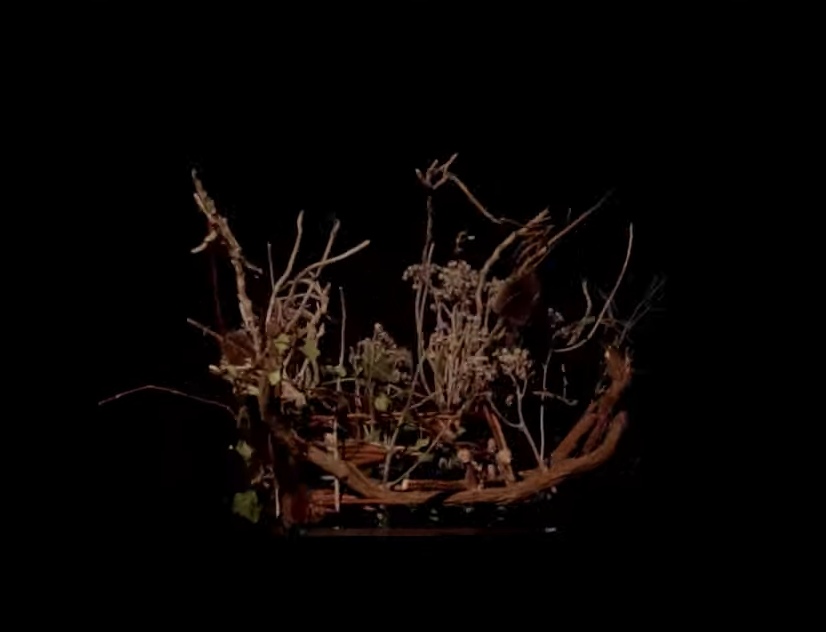 Snow Ghosts release haunting video for 'Rip'